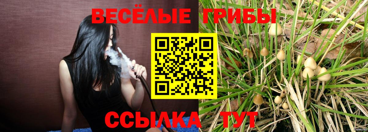 Пенза  Галлюциногенные грибы Psilocybine cubensis  Вход с VPN  наркотики  Псилоцибиновые грибы мухоморы 