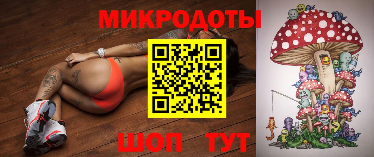 Псилоцибиновые грибы Psilocybe Пенза